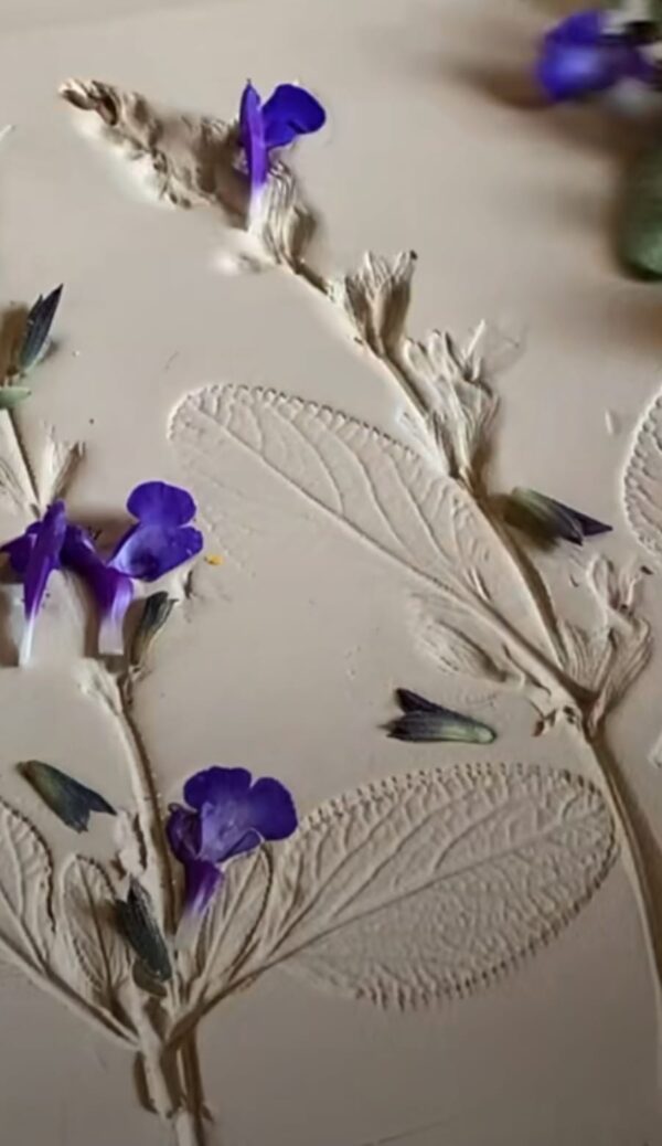 Ceramic Botanical plate "Hand Built Pottery" - Starting 21st July - Image 4