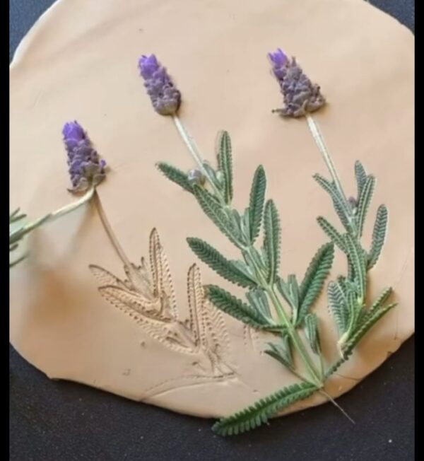 Ceramic Botanical plate "Hand Built Pottery" - Starting 21st July - Image 9